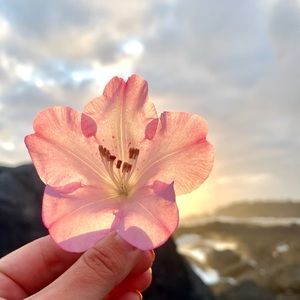 Meet your Posher, Natalia